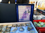 XIII Mesa de Intercambio de Minerales y Fósiles de Alicante