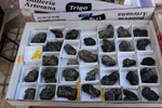 XIV Mesa de Intercambio de Minerales y Fósiles de Alicante