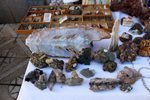 XIV Mesa de Intercambio de Minerales y Fósiles de Alicante