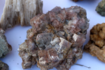 XIV Mesa de Intercambio de Minerales y Fósiles de Alicante