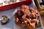 XIV Mesa de Intercambio de Minerales y Fósiles de Alicante