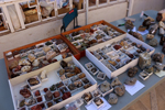 XIV Mesa de Intercambio de Minerales y Fósiles de Alicante