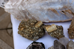 XIV Mesa de Intercambio de Minerales y Fósiles de Alicante