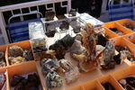 XIV Mesa de Intercambio de Minerales y Fósiles de Alicante