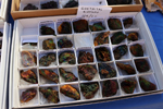 XIV Mesa de Intercambio de Minerales y Fósiles de Alicante