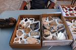 XIV Mesa de Intercambio de Minerales y Fósiles de Alicante