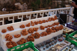 XIV Mesa de Intercambio de Minerales y Fósiles de Alicante