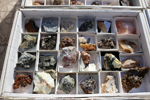 XIV Mesa de Intercambio de Minerales y Fósiles de Alicante