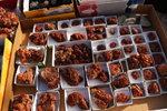 XIV Mesa de Intercambio de Minerales y Fósiles de Alicante