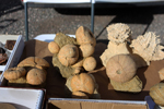 XIV Mesa de Intercambio de Minerales y Fósiles de Alicante